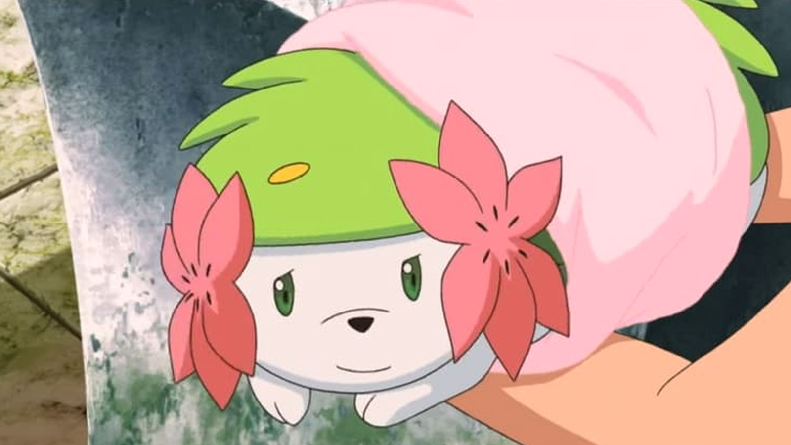 Shaymin's special effect in Pokémon Go attracts players